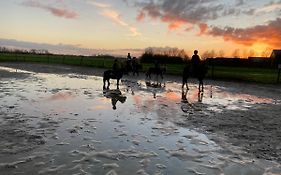 The Horse Farm